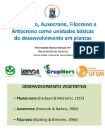 AULA: Plastocrono, Auxocrono, Filocrono e Antocrono Como Unidades Básicas Do Desenvolvimento em Plantas