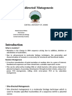 Site Directed Mutagenesis