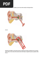 Prework Questions