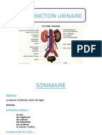 La Fonction Urinaire 2016113014424968