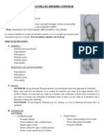 Tema 5 - Anatomia de Miembro Superior