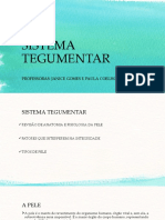 Aula Prática 1 - Sistema Tegumentar