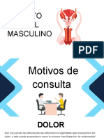 Aparato Genital Masculino