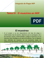 Muestreo MIP