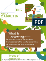 Harvesting and Marketing Powerpoint Lesson5