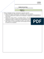 Formato Tareas Evaluativas EDEMS