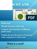 Monocot and Dicot 4