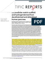 Extracellular Matrix Scafold