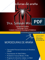 27-9-22 Presentacion de ARAÑA