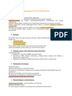 Histología de La Cavidad Bucal