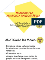 Anatomia Mama