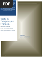 Informe Capital de Trabajo, Capital Fin