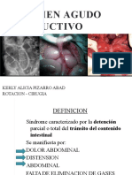 Abdomen Agudo Obstructivo