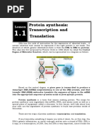 Lesson 5 Protein Synthesis