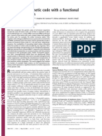 An Expanded Genetic Code With A Functional Quadruplet Codon