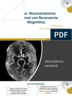 Clase 6 y 7. Vasculatura J Ventricular y SNA