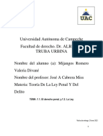 1.1. El Derecho Penal, y 1.2. La Ley