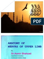 Nerves of Upper Limb