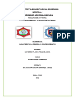 Informe °01-Gutierrez Flores Francis Abdul