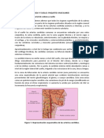 Inervacion y Vascularizacion de Cabeza y Cuello