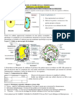 Cours DSVT Terminal C