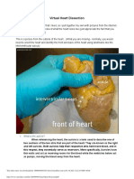 Virtual Heart Dissection PDF