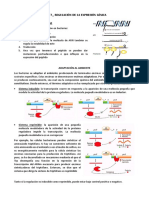 Tema 7 - Regulacion de La Expresion Génica