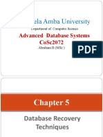 Chapter 5 Database Recovery Techiniques 2009