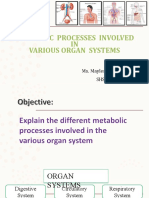 Metabolic Processes in Various Organ Systems