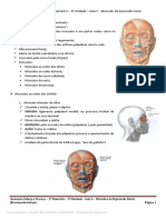 Anatomia Cabeca e Pescoco 2 Semestre 2 Unidade Aula 5 Musculos Da Expressao Facial - 9