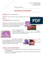 Nomenclatura de Las Neoplasias