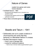 Unit 3 - Gene Concept and Mutations