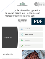 3-Estudio de La Diversidad Genética de Cacao Criollo