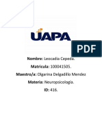 Neuropsicologia (Tarea 1)