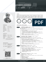 CV Documentado Gerardo Chorres Samillan