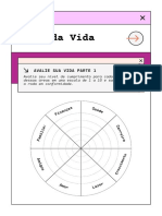 Planner Roda Da Vida