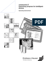 Downl - FT P Endress and Hauser