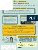 Ácidos Nucleicos