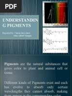 Understanding Pigments Powerpoint