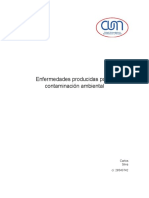 Enfermedades Producidas Por La Contaminación Ambiental