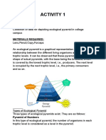 Ecological Pyramid