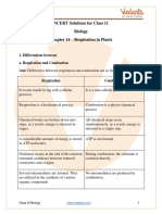 Class 11 - Biology - Respiration in Plants