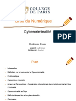 Expose de Droit Cyber Criminalite Togo