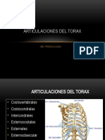 Articulaciones Del Torax