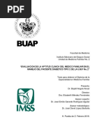 Evaluacion de La Aptitud Clinica Del Medico Familiar en El Manejo Del Paciente Diabetico Tipo 2 de La U.M.F No. 2