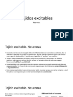 04 Tejido Excitable. Neuronas 2