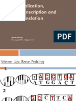 DNA Replication Translation and Trascription