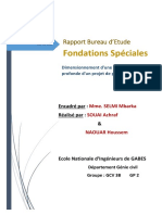 Rapport Final Fondations Profonde