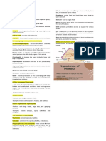 Phylum Mollusca (Notes)