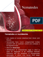 2 Nematodes